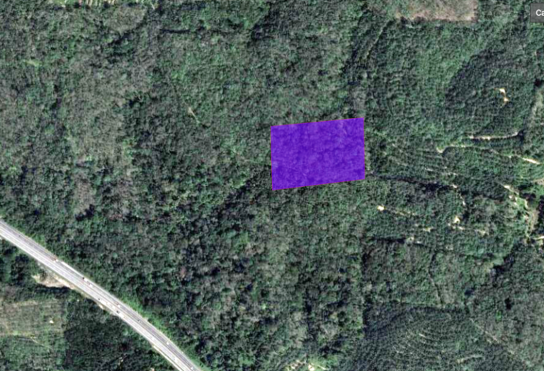 Screenshot 2024 07 11 at 3.48.11 PM 768x524